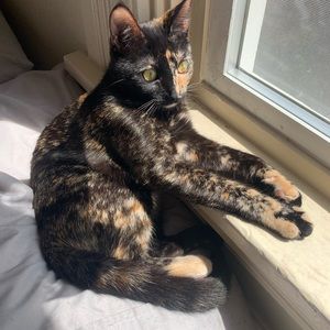 Welcome To My Closet!